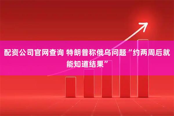 配资公司官网查询 特朗普称俄乌问题“约两周后就能知道结果”
