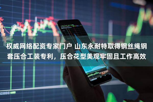 权威网络配资专家门户 山东永耐特取得钢丝绳钢套压合工装专利,压合花型美观牢固且工作高效