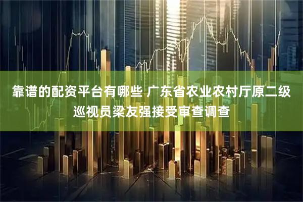 靠谱的配资平台有哪些 广东省农业农村厅原二级巡视员梁友强接受审查调查