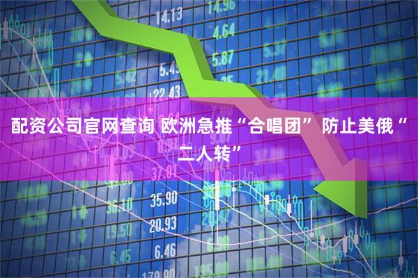 配资公司官网查询 欧洲急推“合唱团” 防止美俄“二人转”